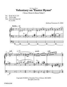 Voluntary on Easter Hymn (Jesus Christ is Risen Today) - Anthony Giamanco, Organ