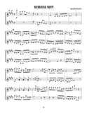 Ragtimes for Two Violins arr. Benedikt Brydern - 16 well-known Ragtimes by Scott Joplin, James Scott, and Benedikt - Violin Ensemble Duet: Two (2) Violins - Score Only