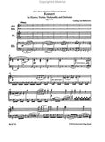 Concerto for Piano, Violin, Violoncello and Orchestra C major op. 56 'Triple Concerto' - Beethoven, Ludwig van