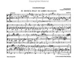 Buxtehude, Dietrich - Complete Organ Works, Volume 4 - Chorale Settings Me-W, Buxwv 206-244 - Organ Solo