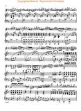 Seitz, Friedrich - Pupil's (Student) Concerto No. 1 in D Major, Opus 7 ed. Philipp Mittell - Violin & Piano