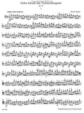 High School of Violoncello Playing op. 73 - Popper, David