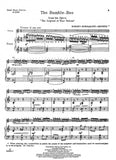 Rimsky-Korsakov, Nikolai - Flight of The Bumble-Bee (from the opera The Legend of Tsar Saltan) arr. Jascha Heifetz - Violin & Piano